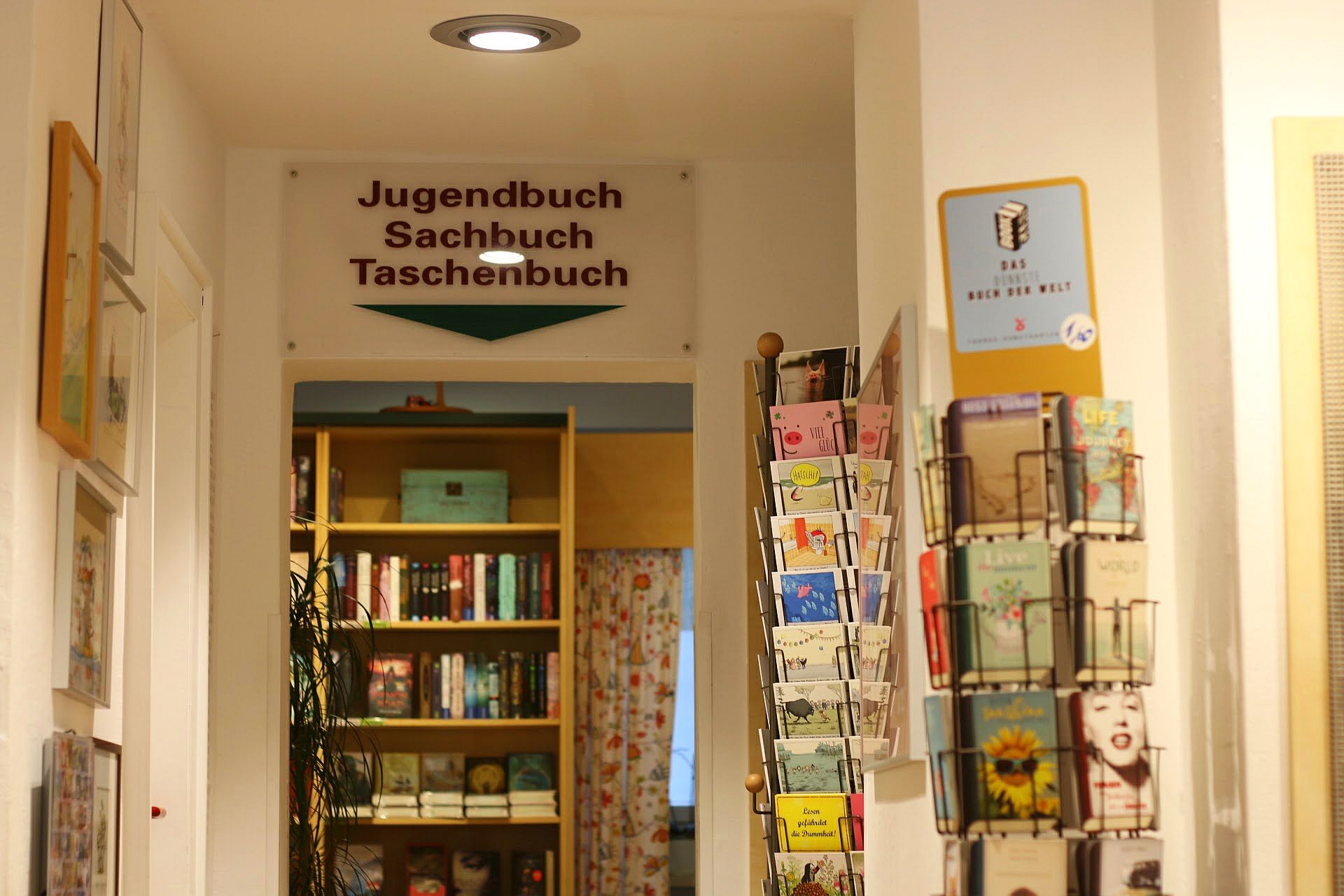 Buchhandlung Schatzinsel Münster Jugendbuch Abteilung Bücher
