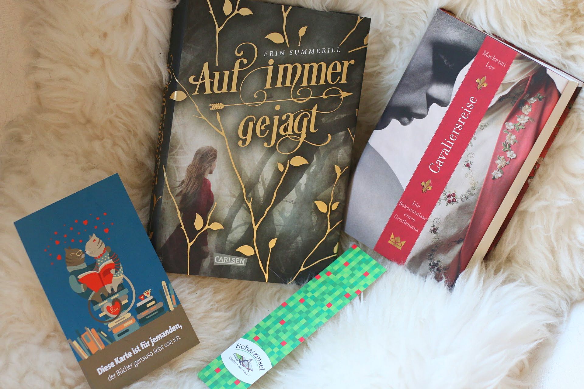 Blogger-Event Bücher Schatzinsel Münster Buchhandlung Auf immer gejagt Erin Summerill Cavaliersreise Mackenzie Lee